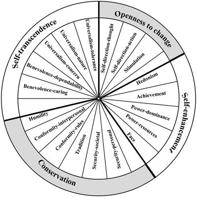 The neural correlates of value hierarchies: a prospective typology based on personal value profiles of emerging adults